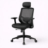 MeshAir Ergonomic Chair